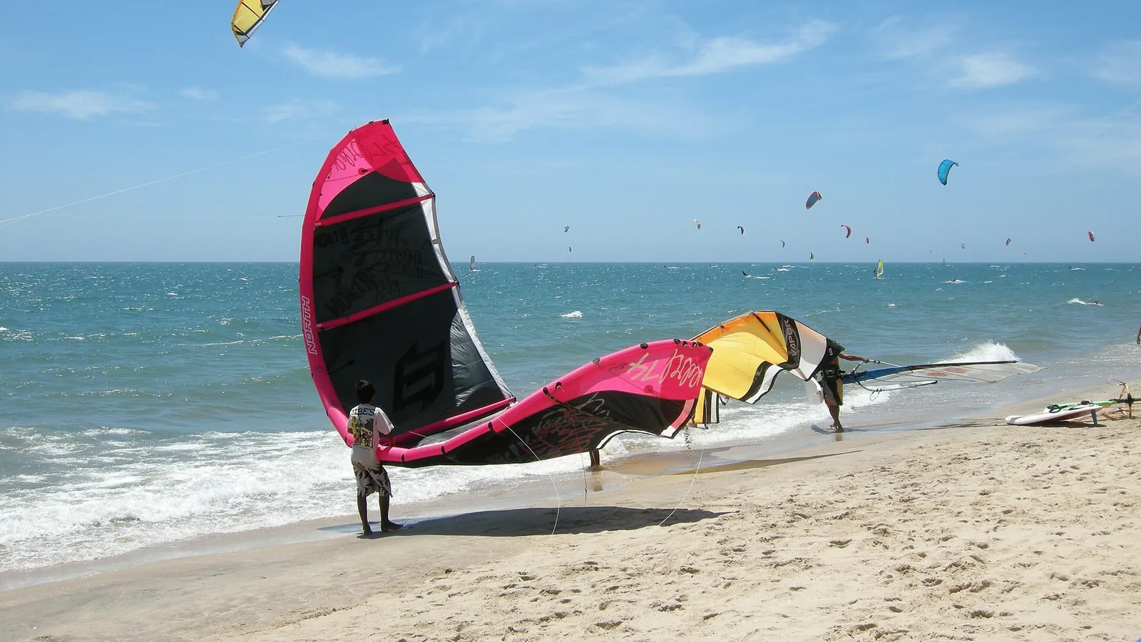 Windsurfers and kitesurfers out on a bright, breezy bay under blue sky